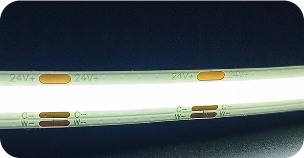 CCT COB strip_COB-608LED-10MM-CCT_Dotless