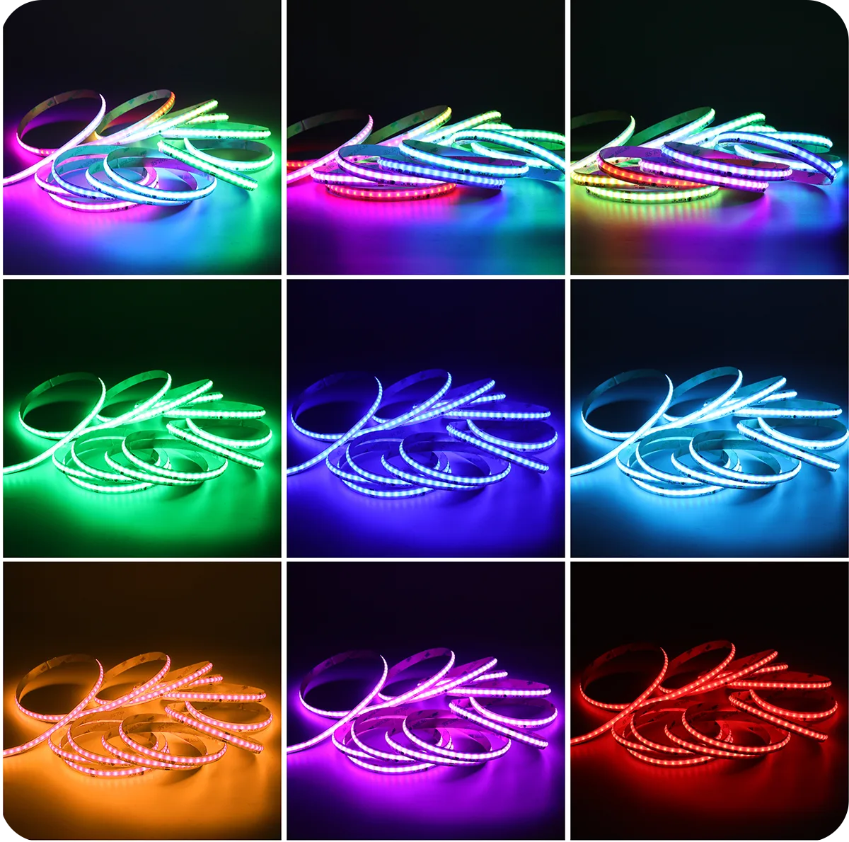 COB-576LED-10MM-RGBIC_Multiple color