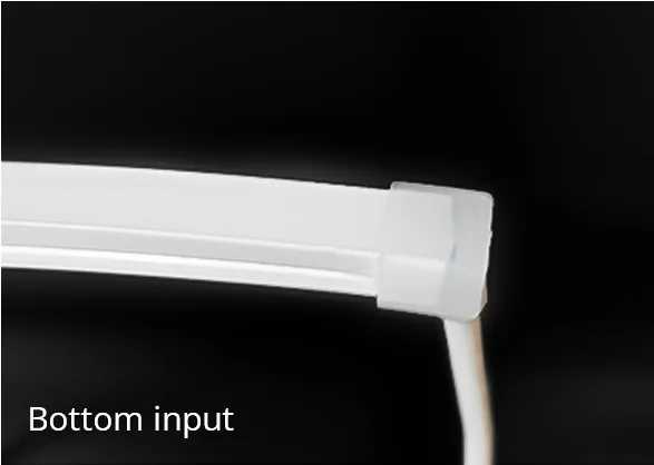 T1010_LED Neon Flex_bottom input