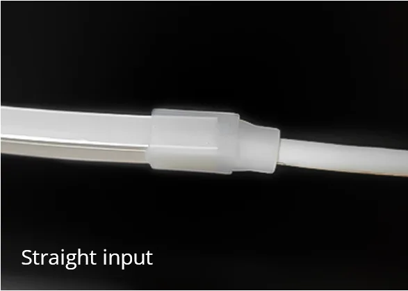 T1010_LED Neon Flex_straight input
