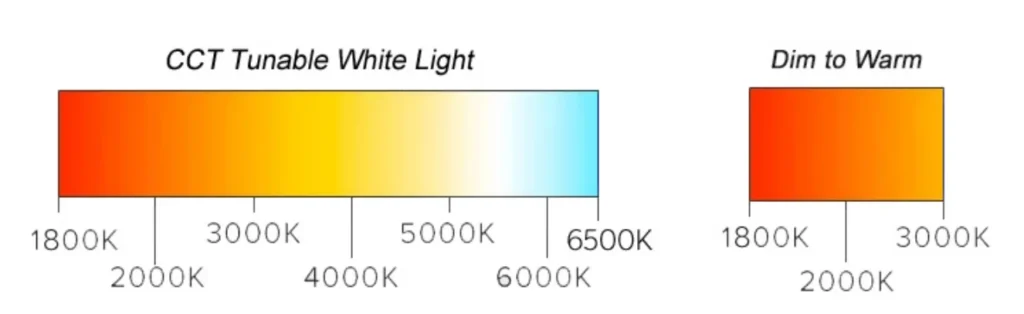 CCT Tunable White Light vs Dim to Warm