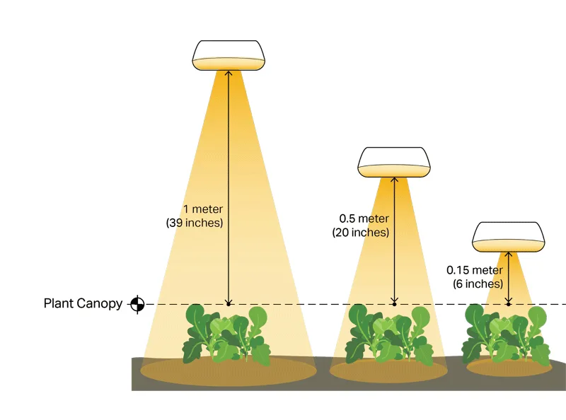 LED Grow Light Distance Chart