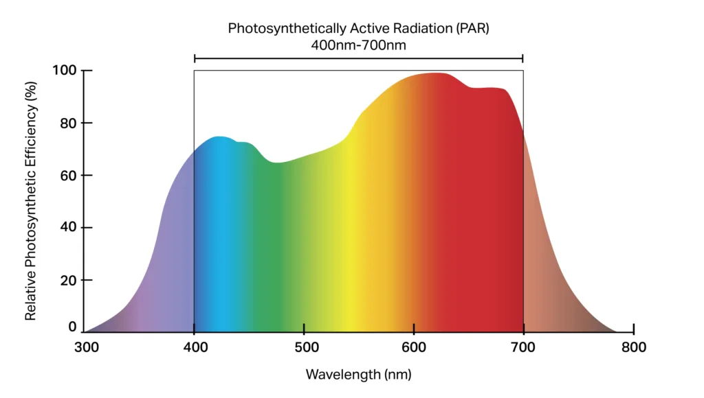 LED Grow Lights Spectrum PAR Range