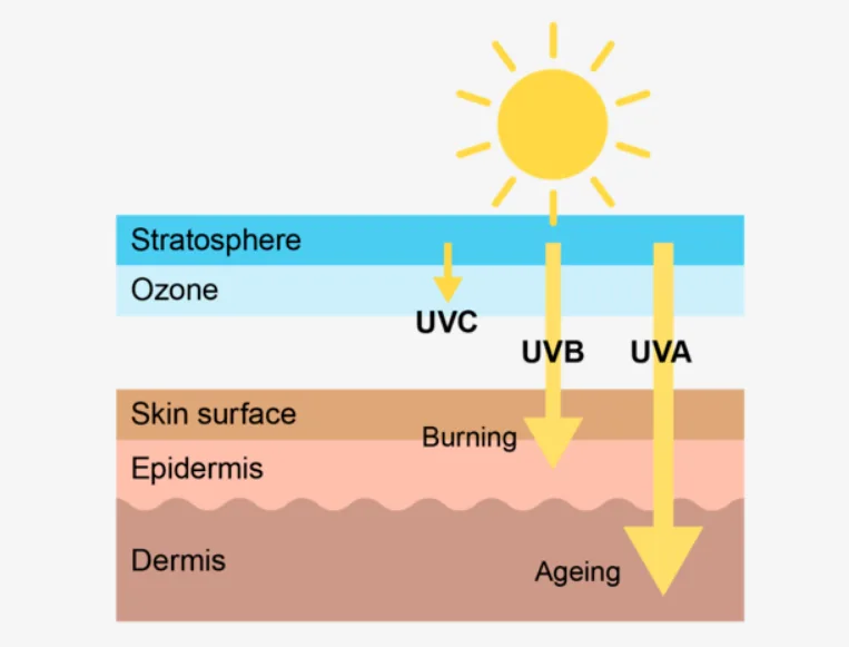 What Is Ultraviolet Light