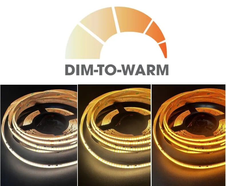 Types of COB LED Strips Dim to Warm COB LED Strip Lights