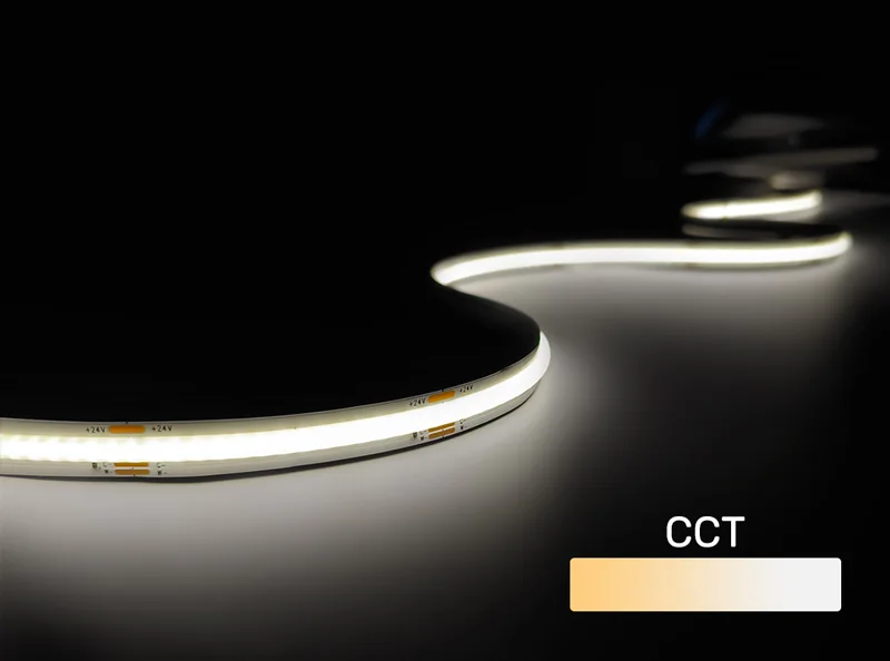 COB-608LED-10MM-CCT_Color Changeable Tunable CCT COB Strip Light_241225