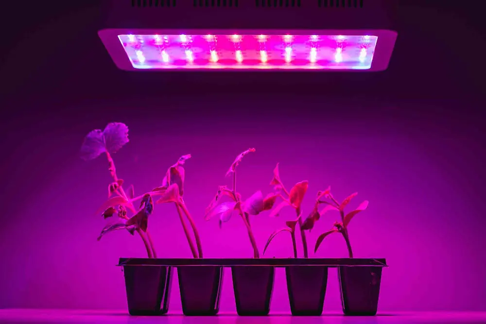 Technology behind Kingrow LED Grow Lights