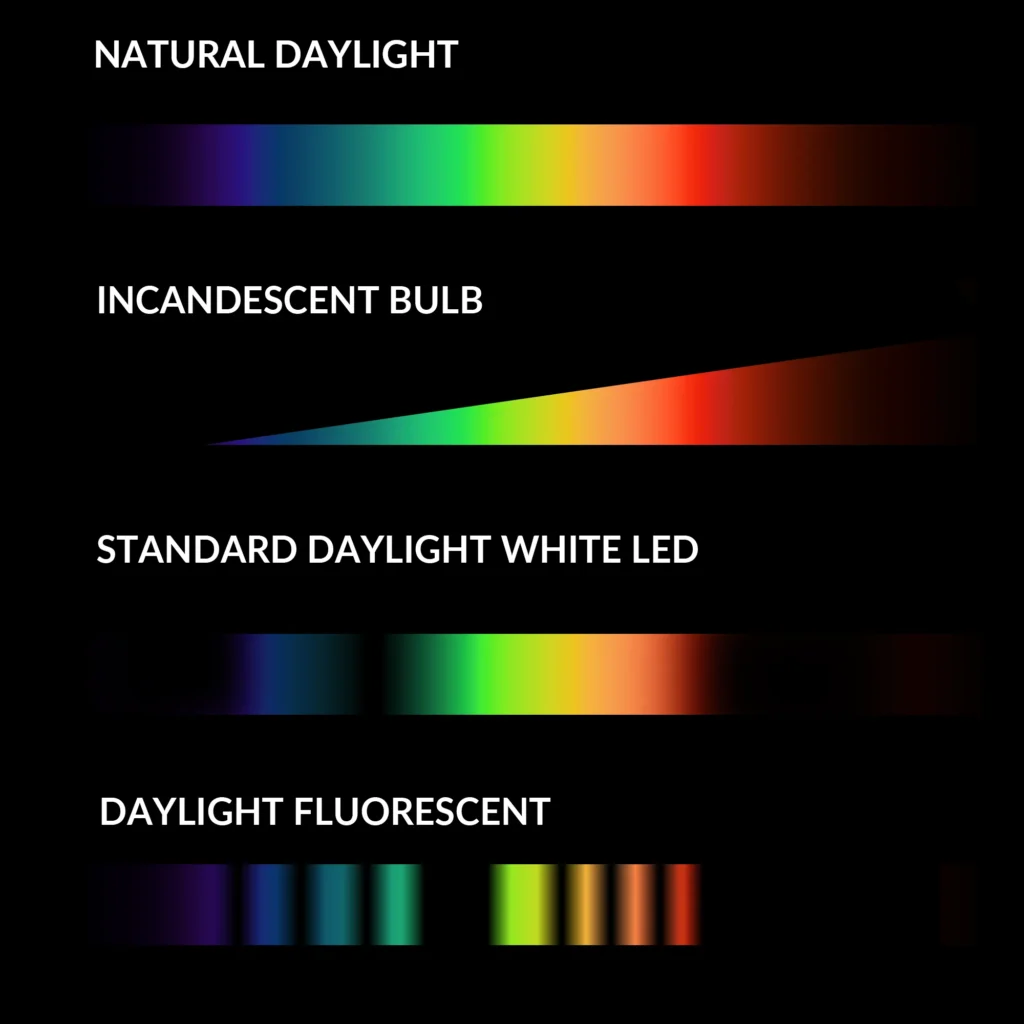 comparison of LED light vs sunlight